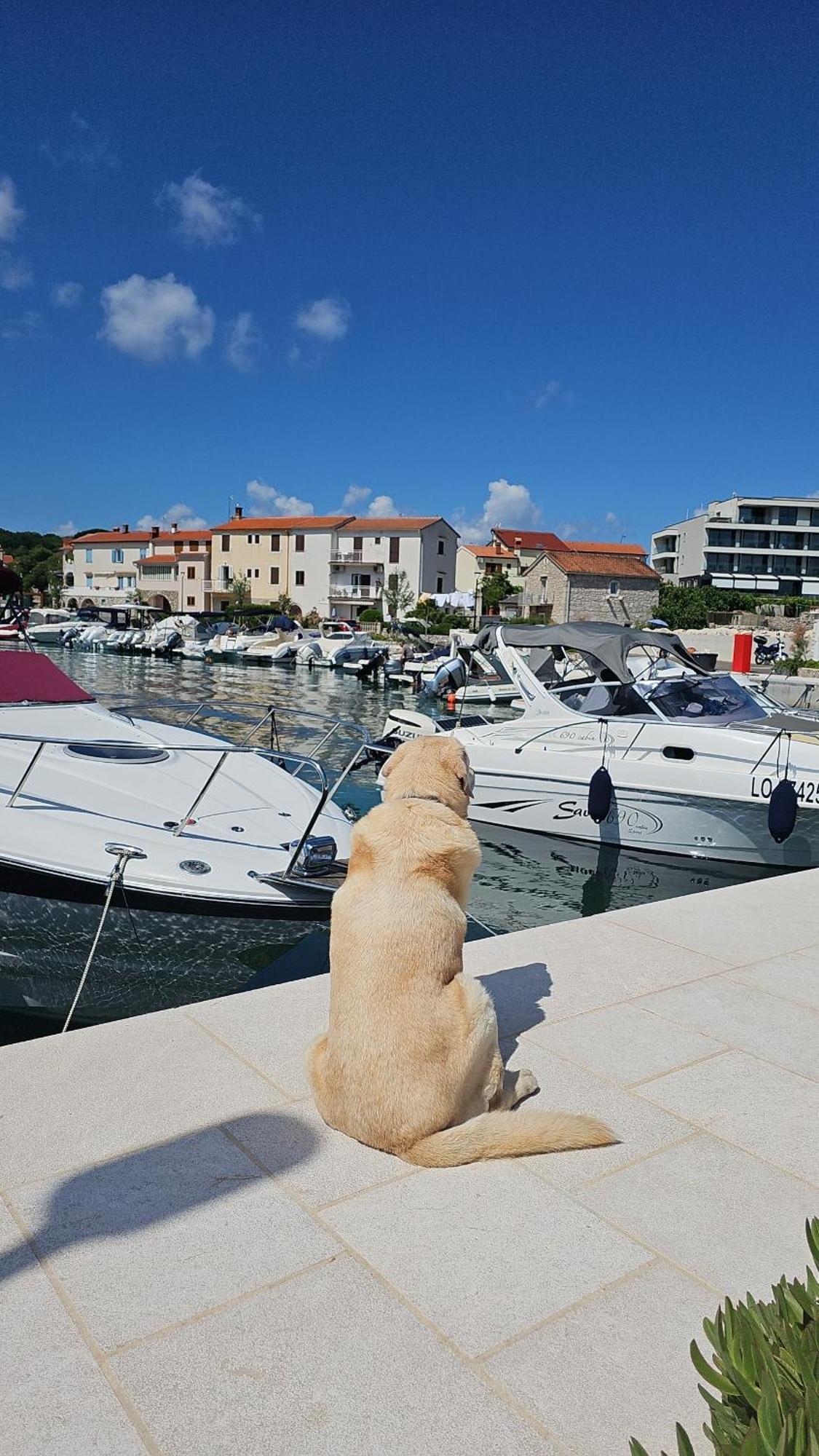 Apartman Sea View Vantacići Exterior foto